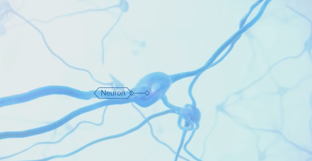 Huntingtons Disease Huntingtons Disease
