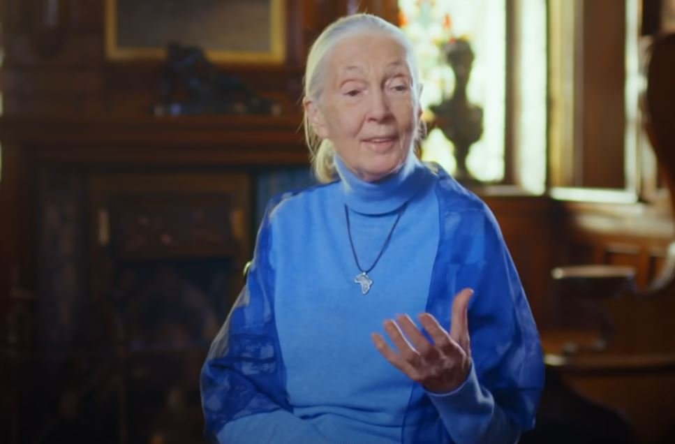 Was Jane Goodall Sick