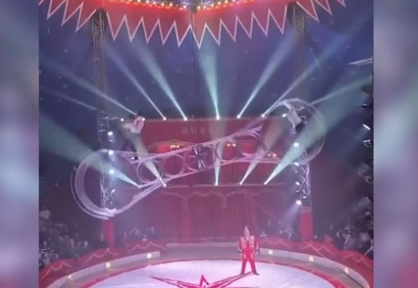 Bautzen Artistin Tot